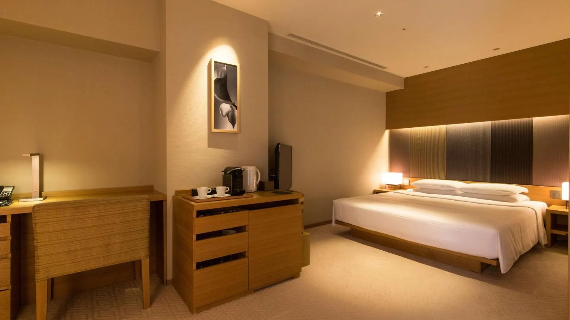 Hyatt Regency Kyoto Hotel